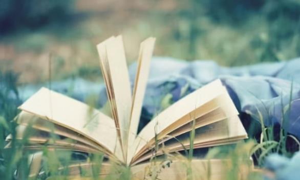 男人真正想离婚的态度,男人真正想离婚的时候是什么样