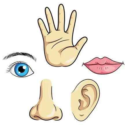 中年以后三观比五官更重要吗,为什么说人老之后更看重三观