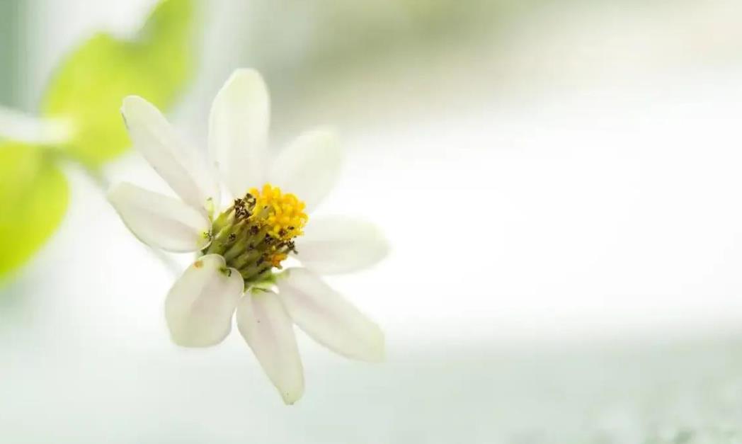 女人喜欢老男人三大特征