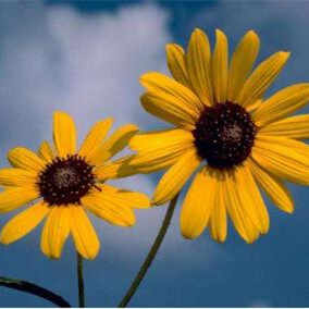 怎么辨别一个人的人品,人品决定一个人的价值吗