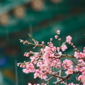 为什么好字是一女一子,好字为什么是先女后子