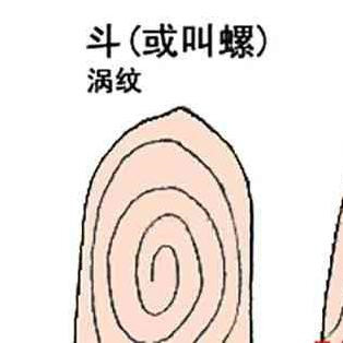 女人十个簸箕代表什么，男人手上几个斗最好