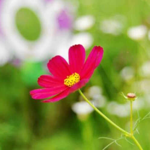 随礼300元禁忌是什么意思,白事随份子的忌讳