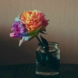 夫妻必问的几个问题，婚前必问对方的几个问题