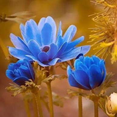 善于隐忍的人的特点,善于隐忍的人有哪些表现