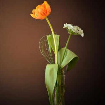 人和人相处靠的是相互吸引吗,为什么两个人的荷尔蒙互相吸引