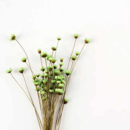 女人回娘家和父亲关系不好怎么办