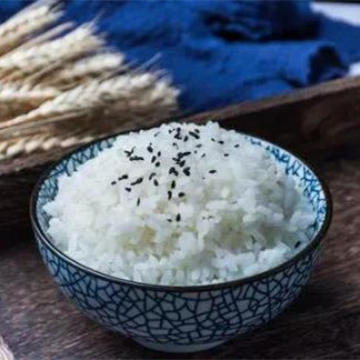人的饭量是由什么决定的，人的饭量真能决定寿命吗
