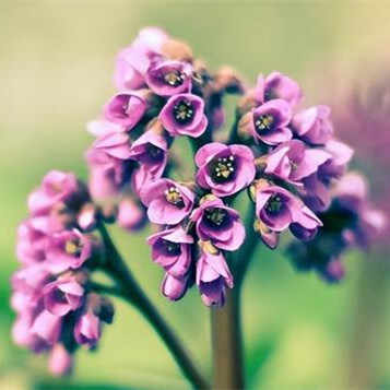 女性更年期有什么症状，更年期多大年龄开始