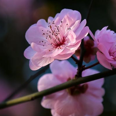 再婚家庭的三大死穴，再婚家庭最大的三个问题