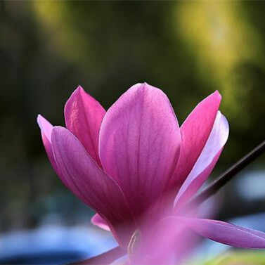 人突然变老的三个年纪，人在几个年龄段突然变老