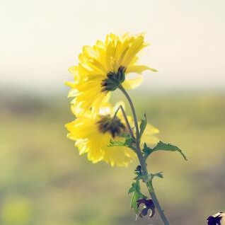 老人老了去别人家禁忌,家里陪老人有什么忌讳