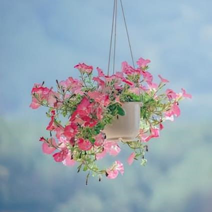 卑鄙小人的七大特征,卑鄙的小人的心理特征