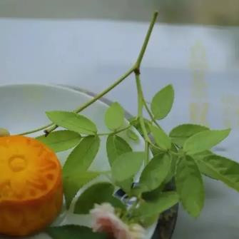 怎样对待愚孝的丈夫，遇到一个愚孝的丈夫该怎么办