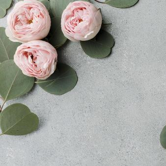 中年女人只暧昧不深交代表什么,中年女人不能深交的三种人