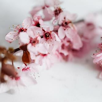 三七定律是什么，成人之间要保持三七定律吗