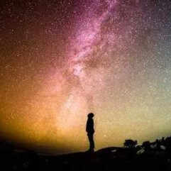 先动情的人是不是抽身最快,为什么往往先动情的人最先走