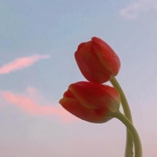 怎样度过中年婚姻危机，中年情感危机如何解决