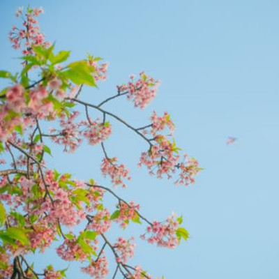 前妻想复婚的十大表现，不建议复婚的几种情况