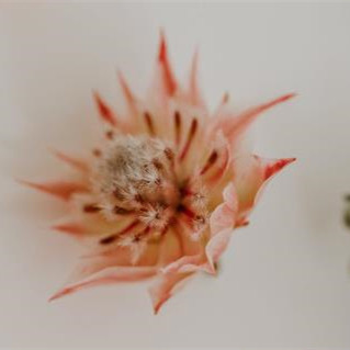 已婚异性发微信的禁忌，已婚异性聊天的禁忌