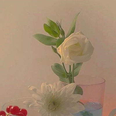 为什么寡妇最怕光棍,为什么寡妇都长寿的多呢