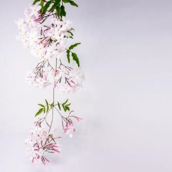 和岳母发生冲突怎么办，和岳母有矛盾挺严重的怎么处理好