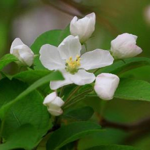 大笔横财意外降临的人特点,大笔横财将近的预兆