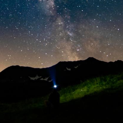 人在睡眠过程中哪个器官最迟钝