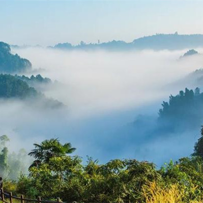 什么样的人心宽,为什么说人要心宽