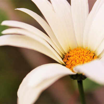 丈夫不爱妻子七种表现有哪些