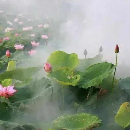 老年异性朋友聊天忌讳,老年人异性朋友聊天应注意什么