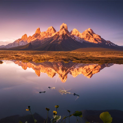 25张顶级绝美照片