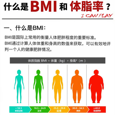 一张图了解女性bmi是什么意思