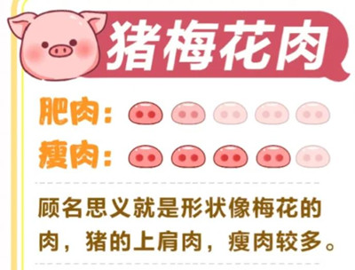 猪的哪个部位肉最好吃