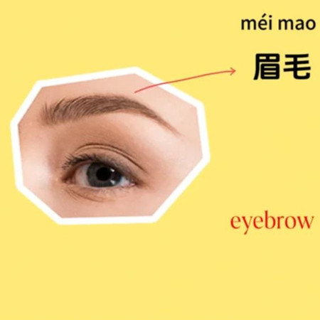 最正确的五官是哪五官