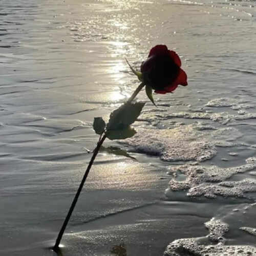 男人和女人离婚后最大区别是什么