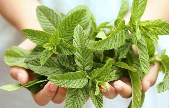 21世纪最有效的祛斑方法，肌肤白净，走哪儿都是惹眼焦点！