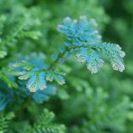 一个人,最穷不过讨饭,不死总要出头!