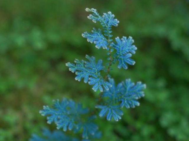 当你一无所有的时候,这样做,你就会东山再起