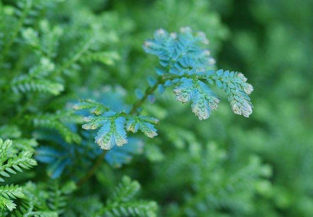 当你一无所有的时候,这样做,你就会东山再起