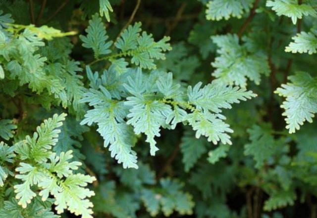 当你一无所有的时候,这样做,你就会东山再起