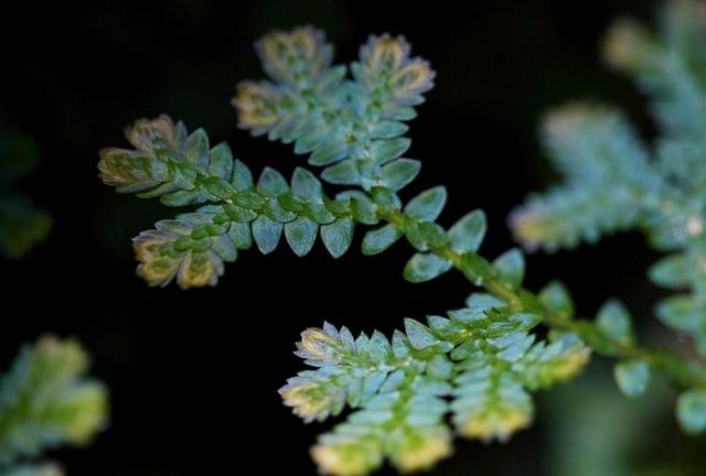 当你一无所有的时候,这样做,你就会东山再起