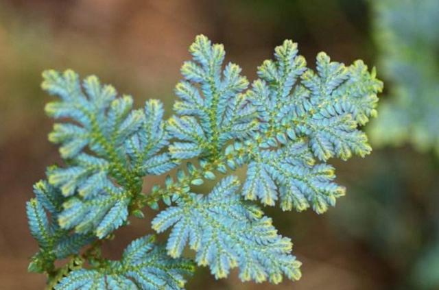 当你一无所有的时候,这样做,你就会东山再起