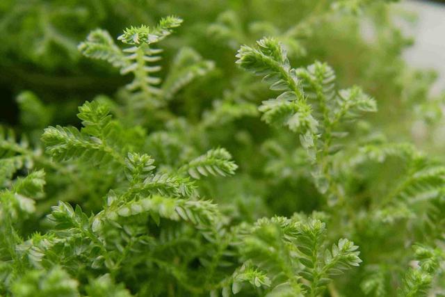 当你一无所有的时候,这样做,你就会东山再起