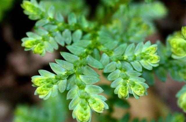 当你一无所有的时候,这样做,你就会东山再起