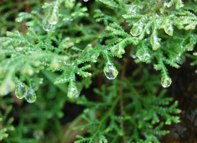 当你一无所有的时候,这样做,你就会东山再起