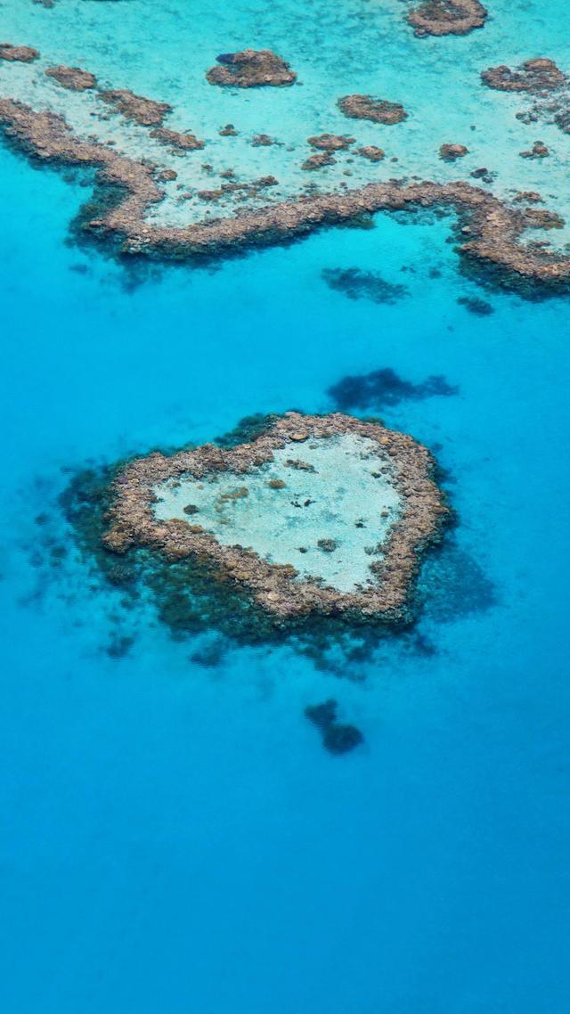 爱情测试：测你对象可以托付终身吗？