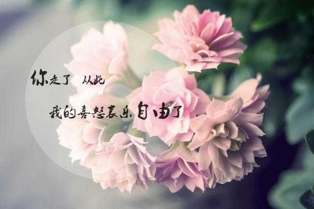 最好的默契，是不再联系