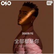 抖音我的眼里都是你是什么歌？Dragon Pig带来的听觉盛宴