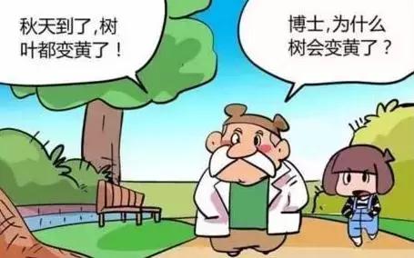 树叶为什么会随季节变化而变色？